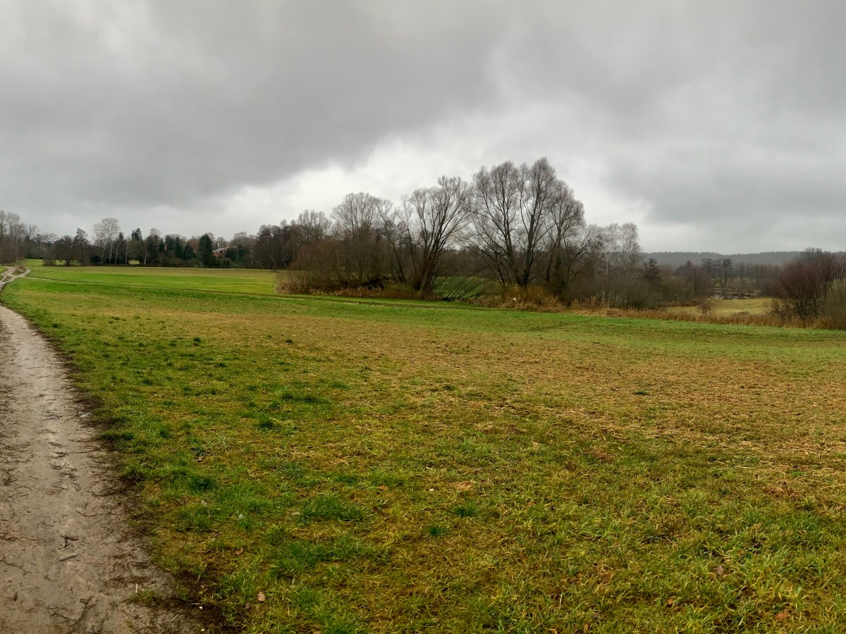 Hike: Christmas at Tegeler&nbsp;Fließ